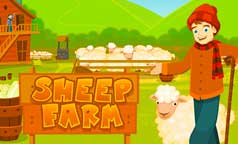 Sheep Farm